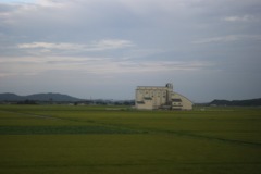 DSC05175