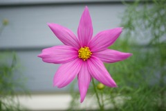 DSC03444