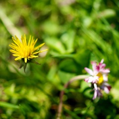 DSC09438