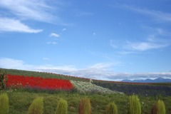 DSC06171