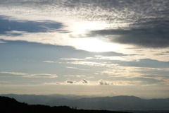DSC06313