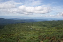 DSC05841