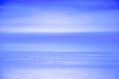 DSC05731