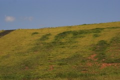 DSC05055