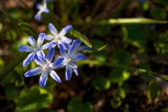 DSC09706