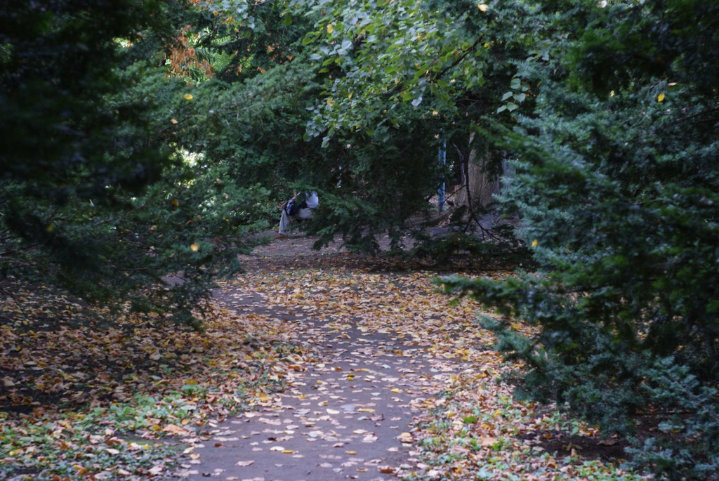 DSC07189