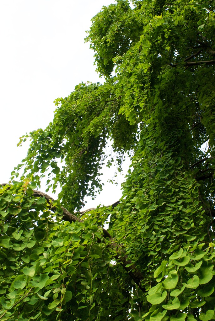 DSC02374
