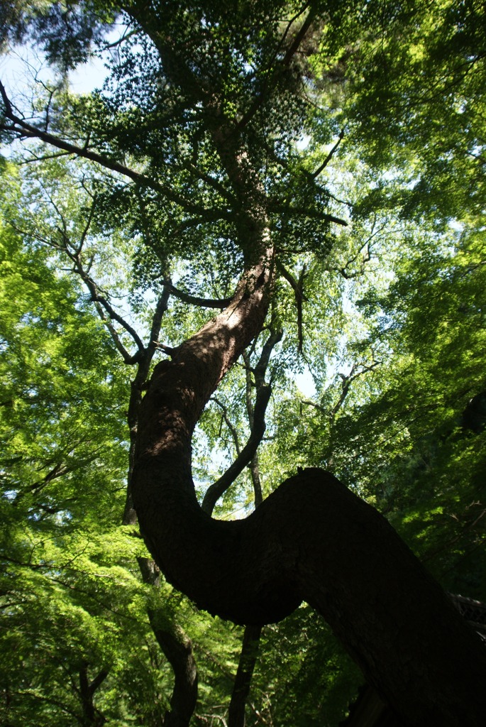 DSC05122
