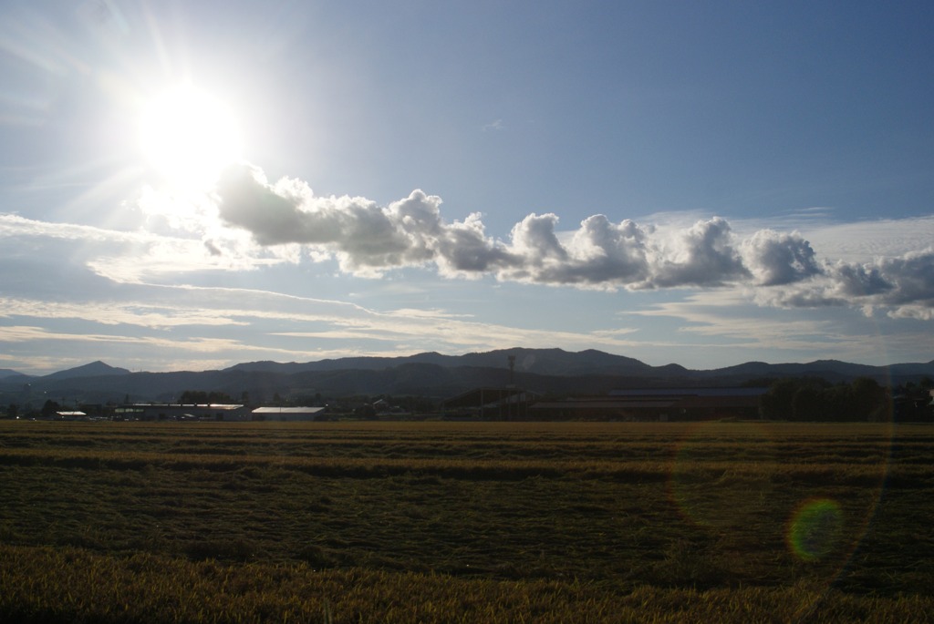 DSC06256