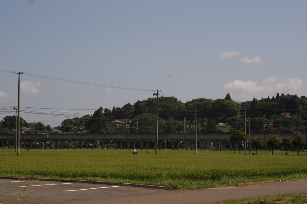 DSC05033