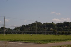 DSC05033