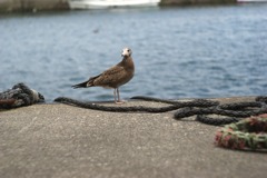 DSC04803