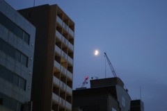 DSC05328