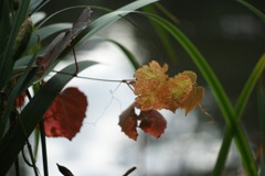 DSC07169