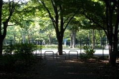 DSC03056 (1)