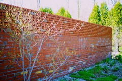 DSC09580