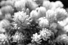 DSC09717