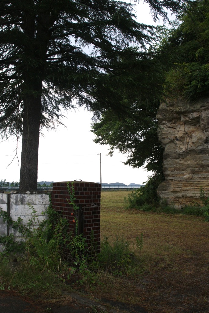 DSC05181