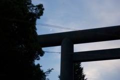 DSC03126