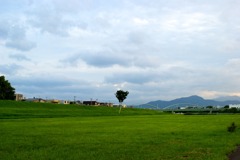 DSC04290