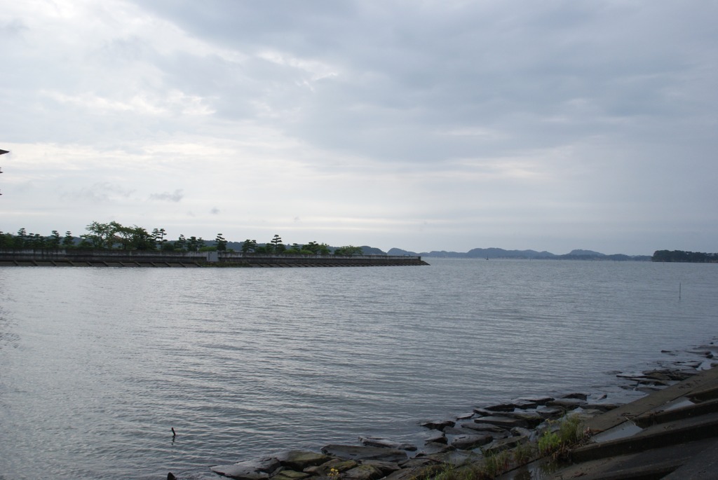 DSC05182