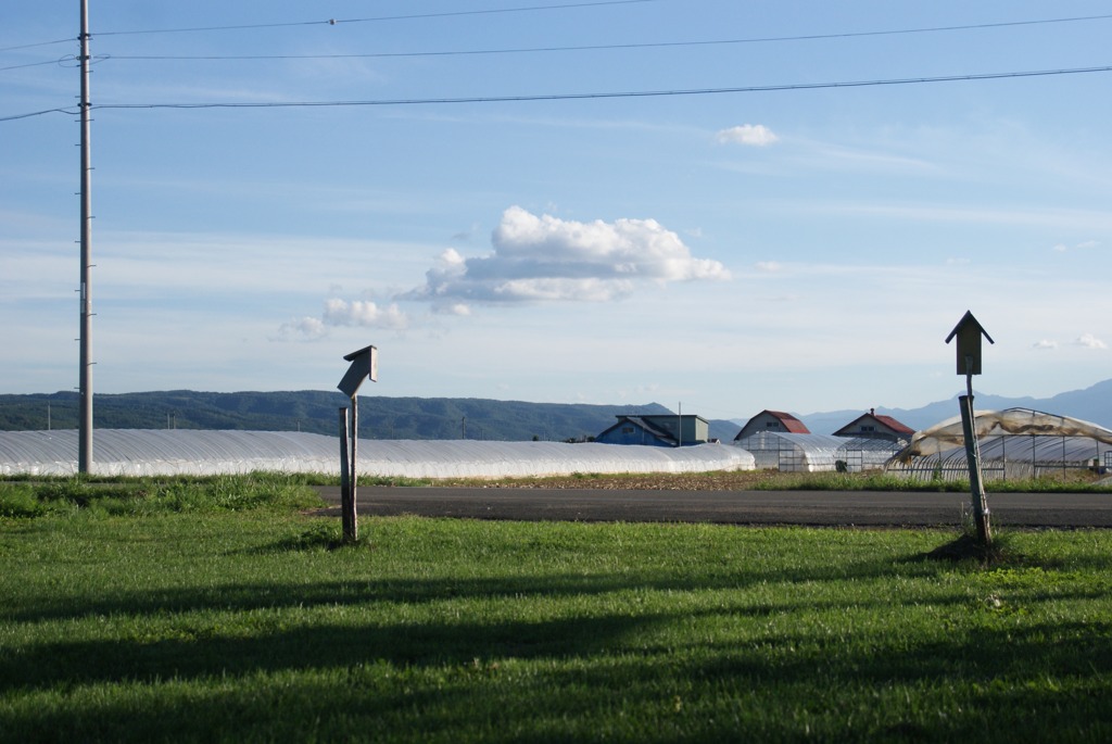 DSC06212