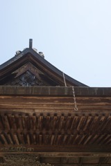 DSC05076