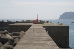 DSC04785