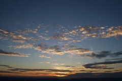 DSC06517