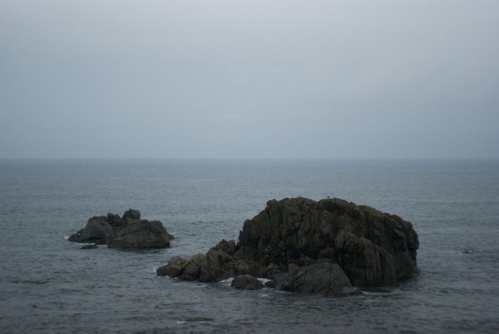 DSC04595