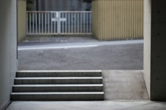 DSC05449