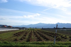 DSC06194