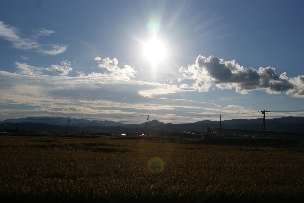 DSC06249