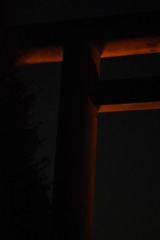 DSC05360