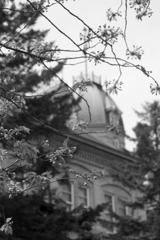 DSC09806