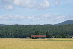 DSC05818