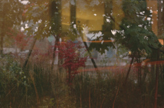 A Scene through a Window