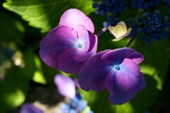 DSC03777