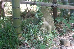 DSC05135
