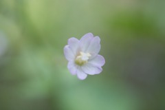 DSC02090