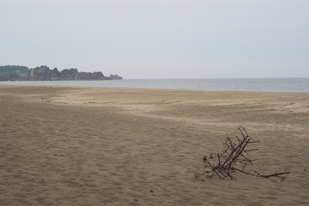 DSC04640