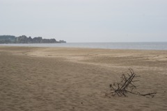 DSC04640