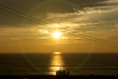 DSC04733