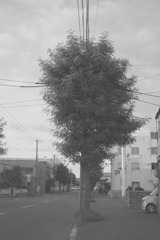 DSC04152