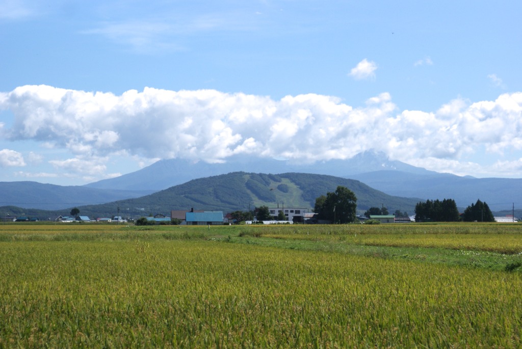 DSC05805