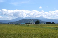 DSC05805