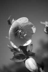 DSC09581