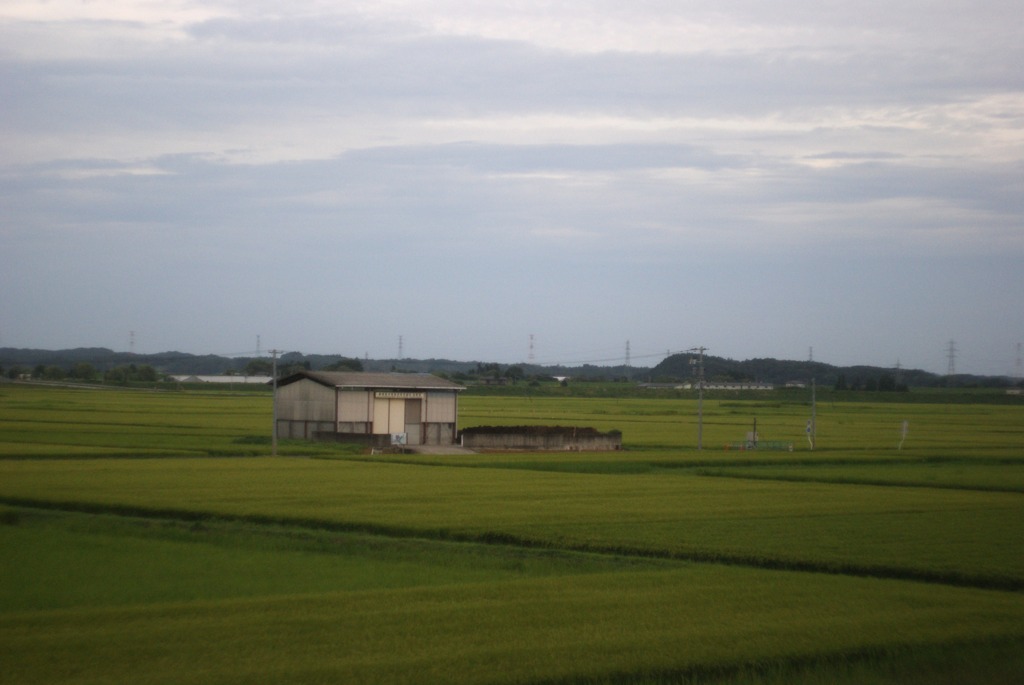 DSC05178