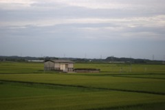 DSC05178