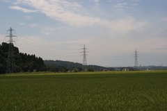 DSC05039